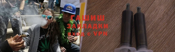 прущие грибы Нягань
